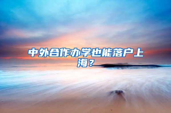 中外合作办学也能落户上海？