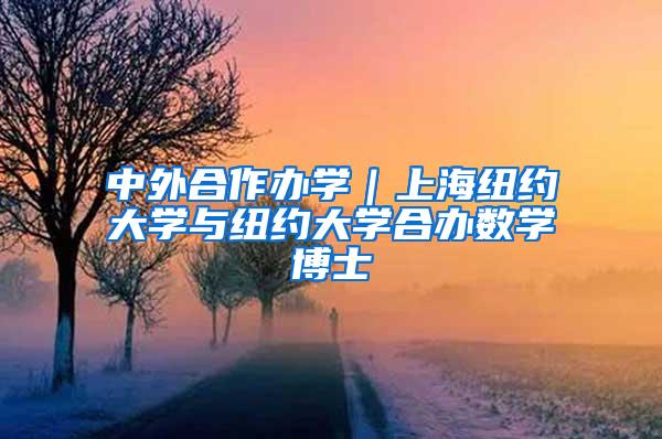 中外合作办学｜上海纽约大学与纽约大学合办数学博士