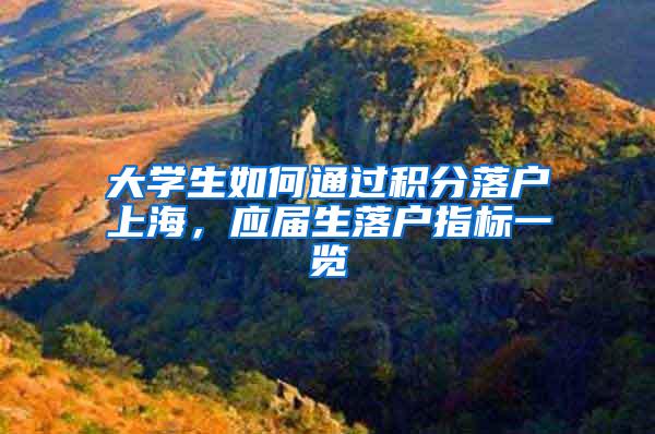 大学生如何通过积分落户上海，应届生落户指标一览