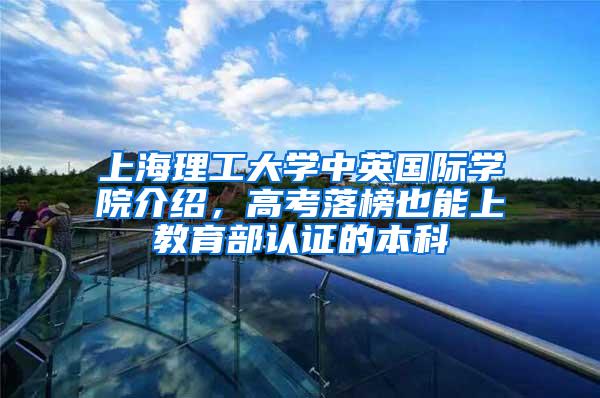 上海理工大学中英国际学院介绍，高考落榜也能上教育部认证的本科