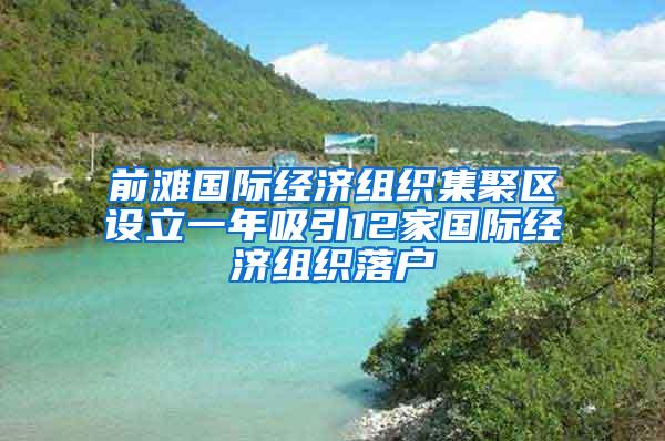 前滩国际经济组织集聚区设立一年吸引12家国际经济组织落户