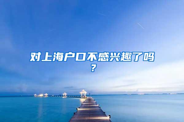 对上海户口不感兴趣了吗？