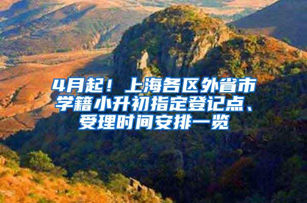 4月起！上海各区外省市学籍小升初指定登记点、受理时间安排一览