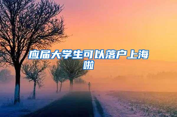 应届大学生可以落户上海啦