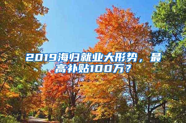 2019海归就业大形势，最高补贴100万？