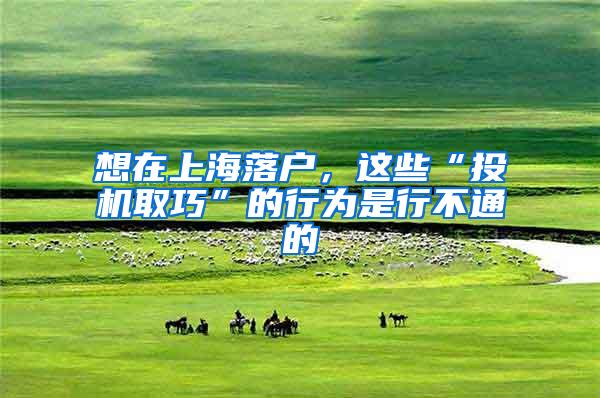 想在上海落户，这些“投机取巧”的行为是行不通的