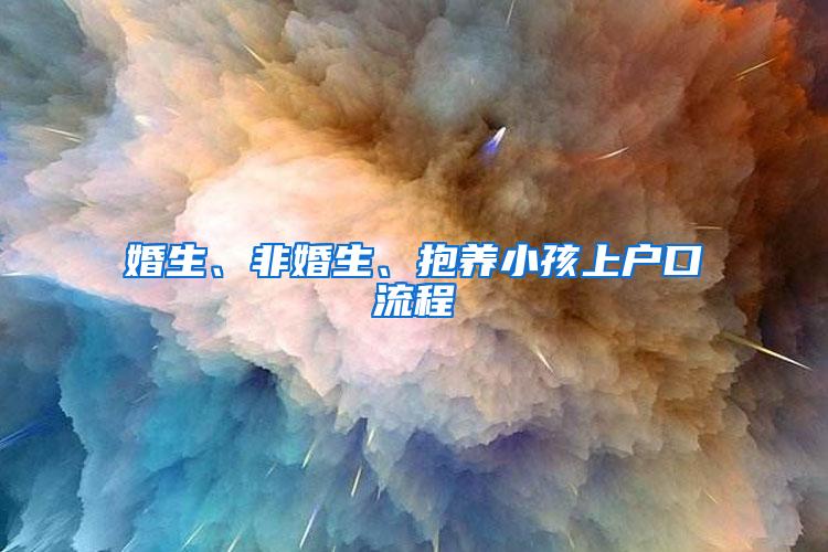 婚生、非婚生、抱养小孩上户口流程