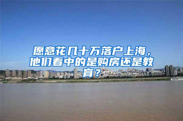 愿意花几十万落户上海，他们看中的是购房还是教育？