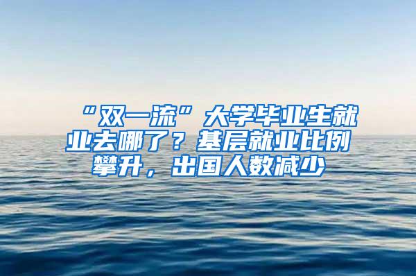 “双一流”大学毕业生就业去哪了？基层就业比例攀升，出国人数减少