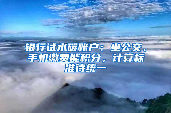 银行试水碳账户：坐公交、手机缴费能积分，计算标准待统一