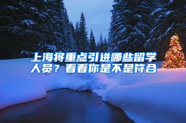 上海将重点引进哪些留学人员？看看你是不是符合→