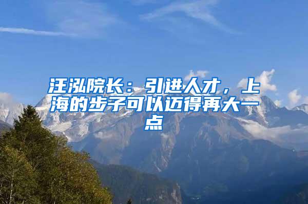 汪泓院长：引进人才，上海的步子可以迈得再大一点