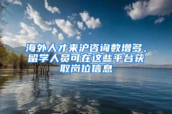 海外人才来沪咨询数增多，留学人员可在这些平台获取岗位信息
