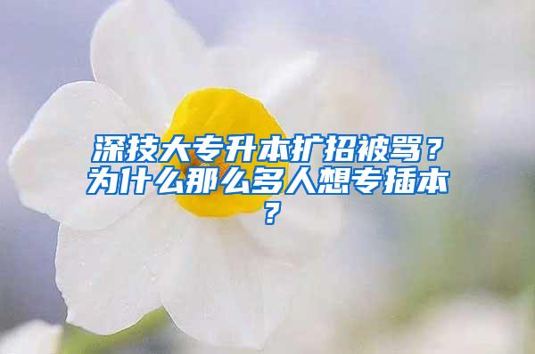 深技大专升本扩招被骂？为什么那么多人想专插本？