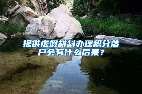 提供虚假材料办理积分落户会有什么后果？