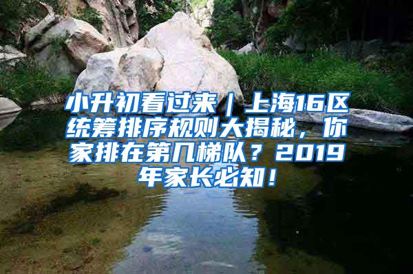 小升初看过来｜上海16区统筹排序规则大揭秘，你家排在第几梯队？2019年家长必知！
