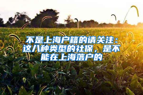 不是上海户籍的请关注：这八种类型的社保，是不能在上海落户的