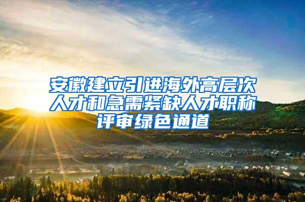 安徽建立引进海外高层次人才和急需紧缺人才职称评审绿色通道