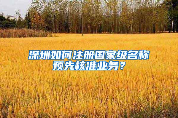 深圳如何注册国家级名称预先核准业务？