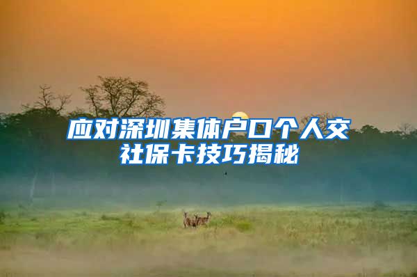 应对深圳集体户口个人交社保卡技巧揭秘