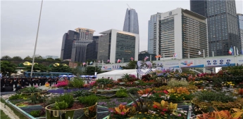 公告新的深圳个人户口转集体户口公司哪里好指南！
